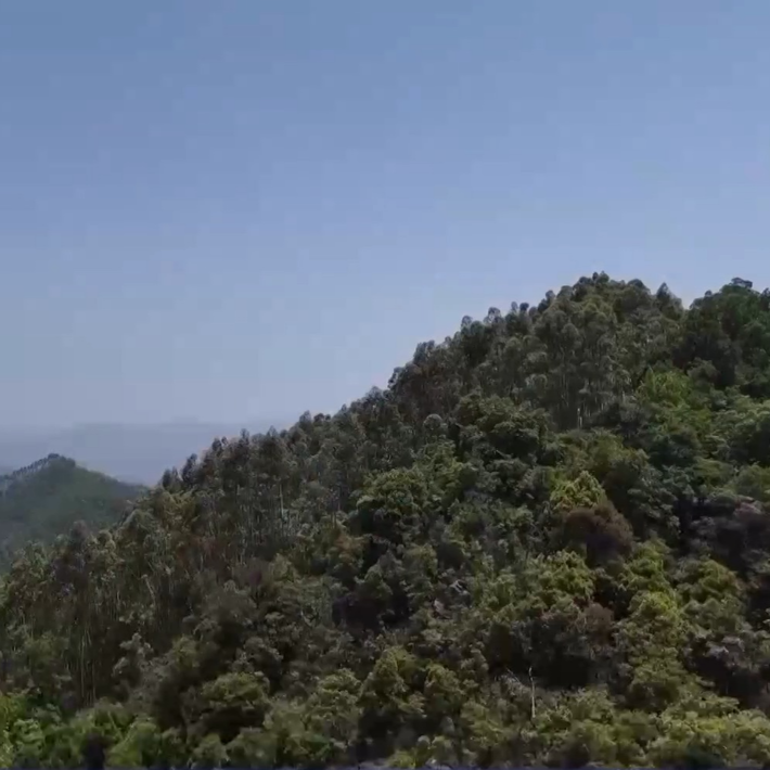 4月以来登山遇险频发，这些地方不要去