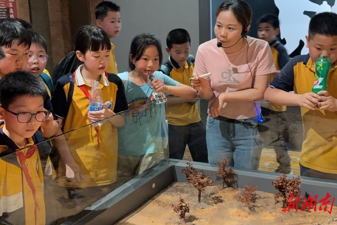 寻根千年文明，郡德学子赴城头山开展古文化研学实践活动