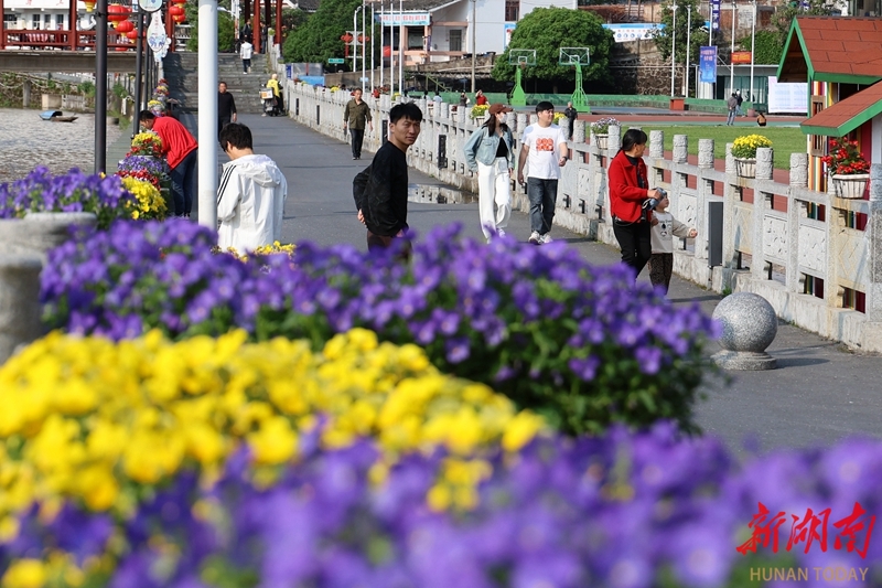 “口袋花园”扮靓双江河畔