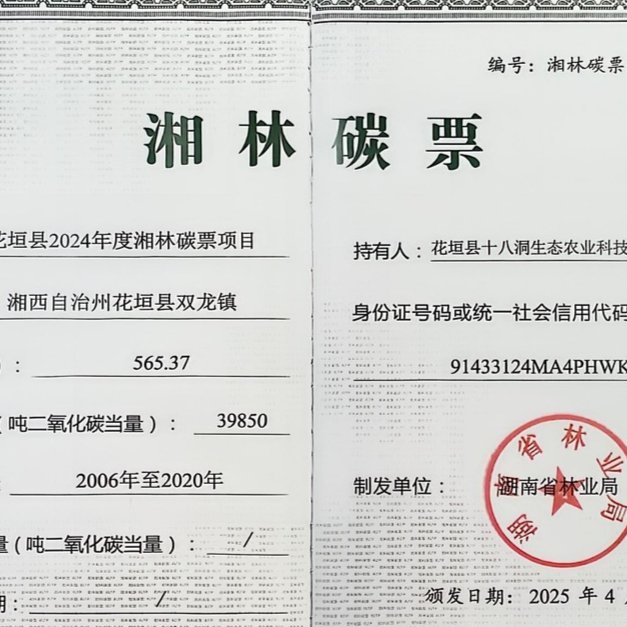 让绿水青山变金山银山 湘西州首张“湘林碳票”获批@湖南日报