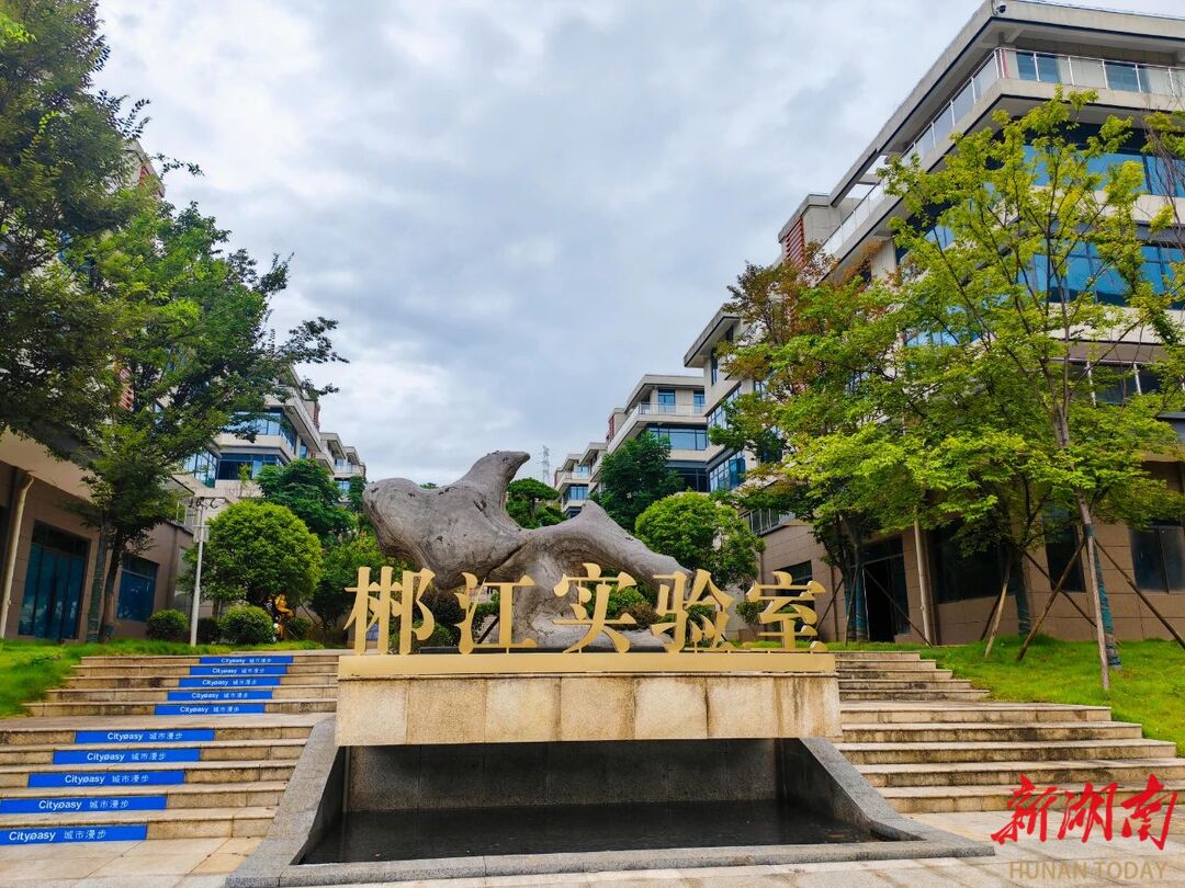 郴州市“六大新行动”季度观摩走进郴江实验室