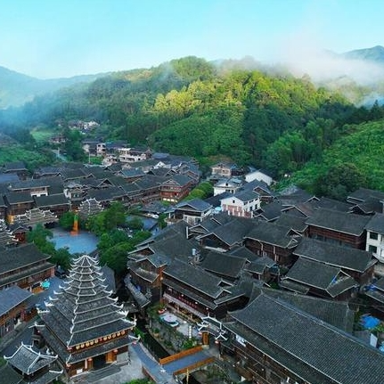 通道：万顷林海，点“碳”成金
