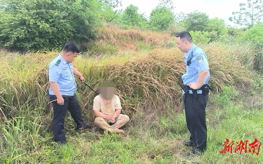 第一视角！看“帽子蜀黍”擒贼