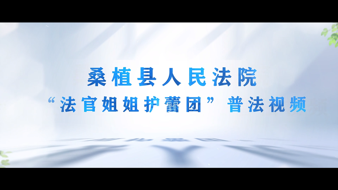 遇到家暴怎么辦？桑植法院“法官姐姐護(hù)蕾團(tuán)”推出十問十答維權(quán)指南