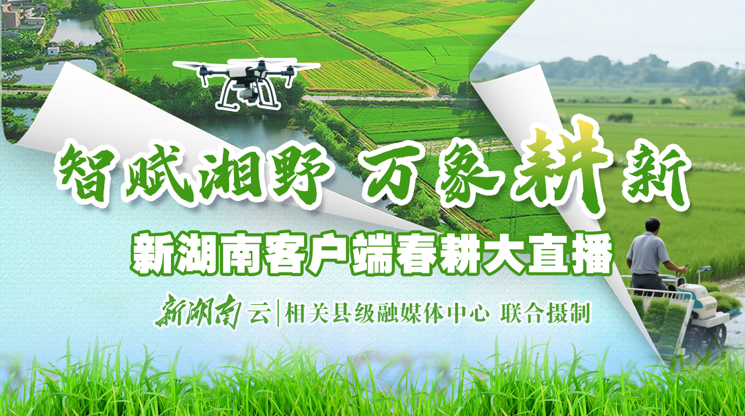 智赋湘野 万象耕新⑪丨耒阳：00后新农人种出新“稻”路