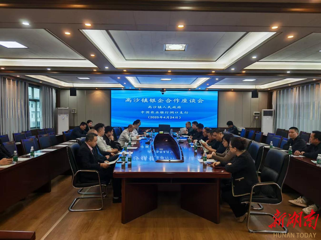 洞口县高沙镇：银企座谈搭桥梁 精准赋能解企忧
