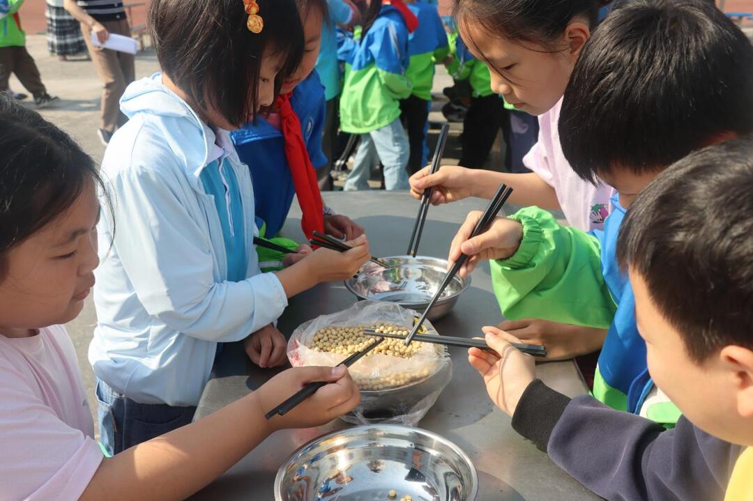 龙山县第六小学：趣享劳动，快乐成长