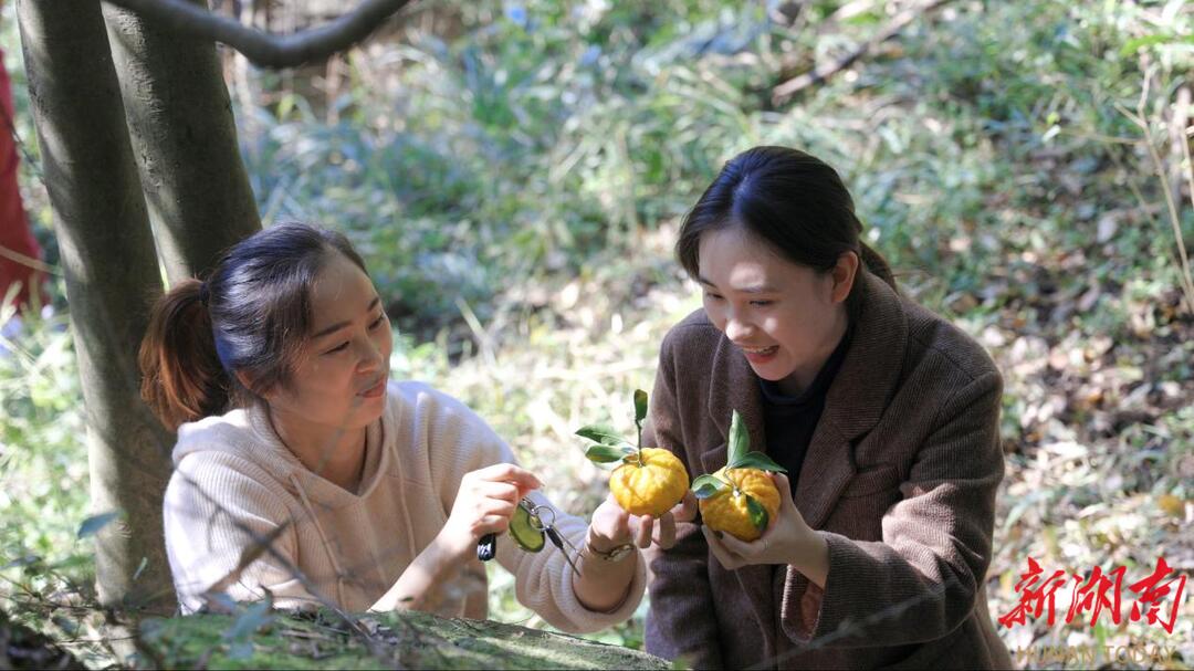 她深耕文旅融合，为乡村振兴添彩