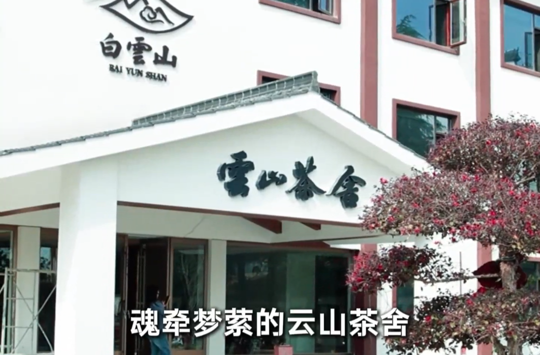 走进石门·清爽一夏③ | 云海漫卷处 悠然见“茶舍”