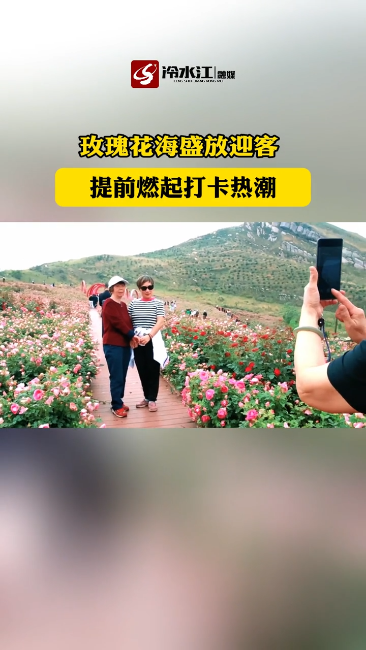 视频|五一假期，来冷水江玫瑰花海打卡啦！