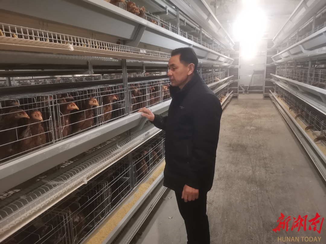 衡东县：崛起六大农业产业基地
