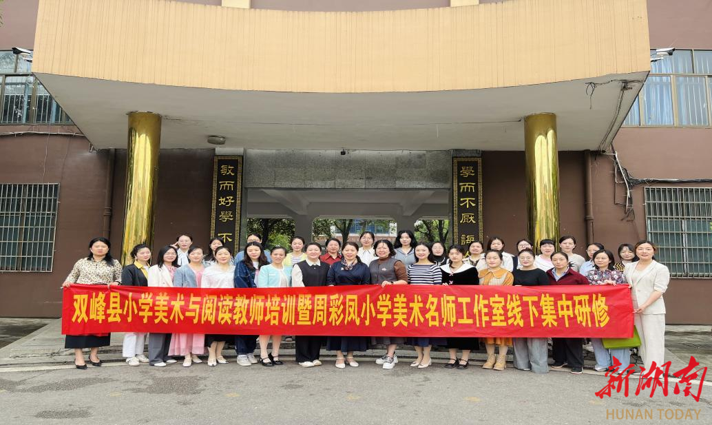 双峰县举办小学美术与阅读融合教师研修活动