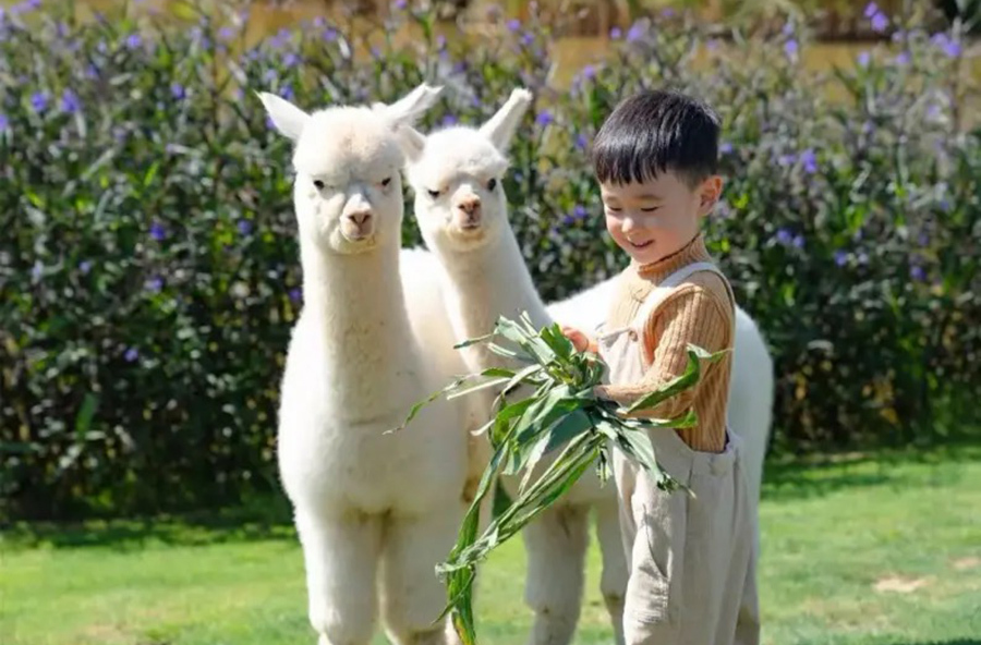 自然课堂乐中学