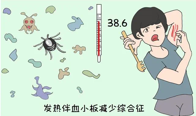病死率高達20%！“五一”出游謹防蜱蟲叮咬，預防指南來了