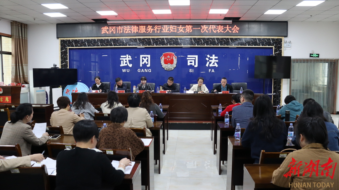 武岡市法律服務(wù)行業(yè)婦女第一次代表大會成功召開