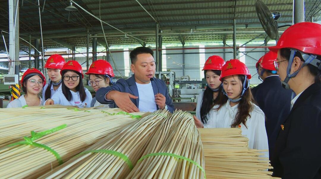 苏仙区：到村任职选调生开展学习调研活动
