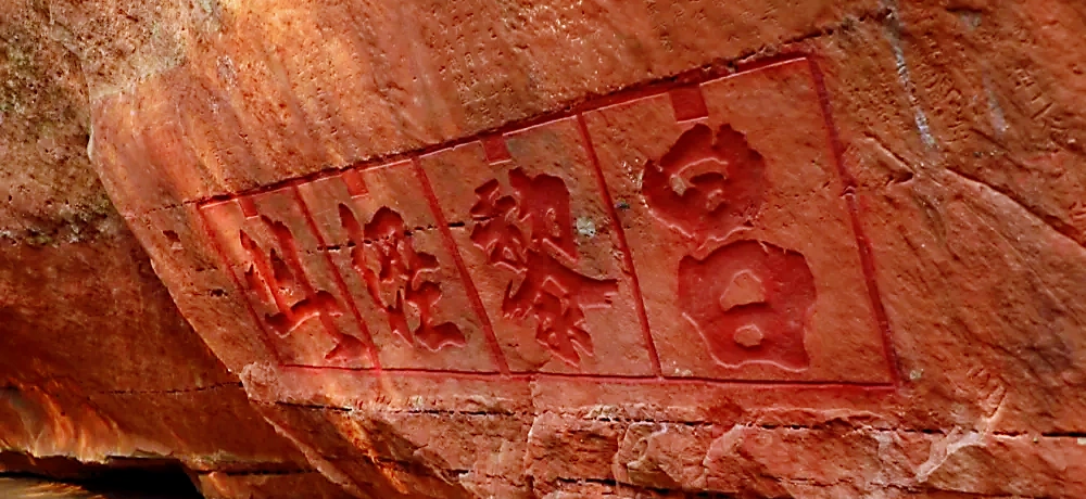 图片