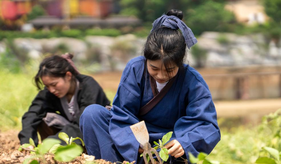 Students Explore Cultural Charm of Ancient Town via Work-Study Tour