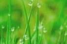 谷雨时节话农耕，乡村振兴我先行