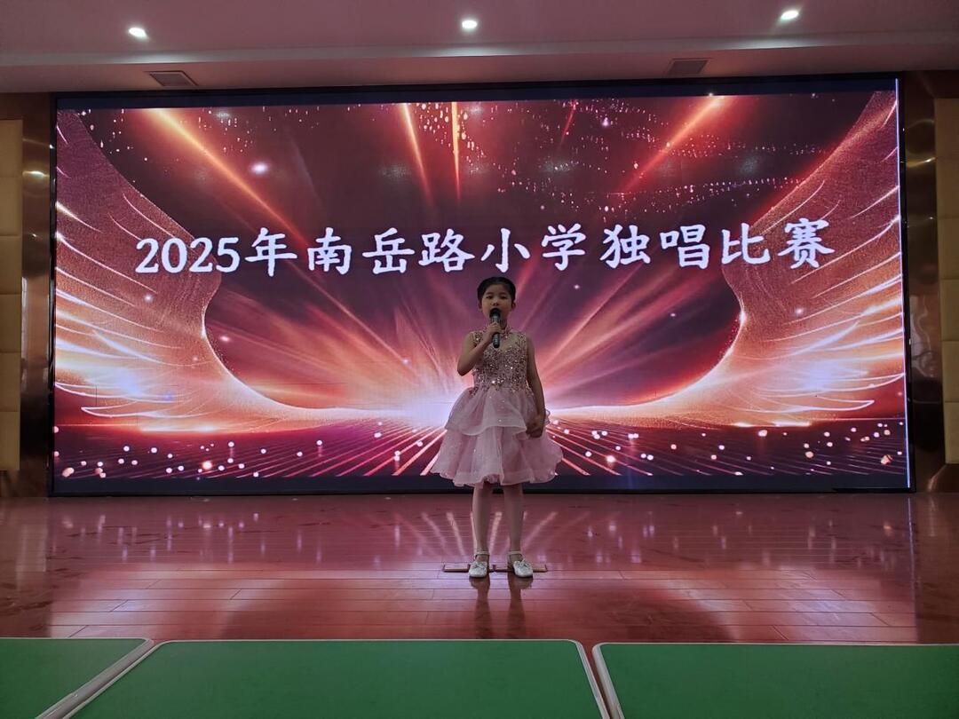 汉寿县南岳路小学举办2025年“三独”比赛