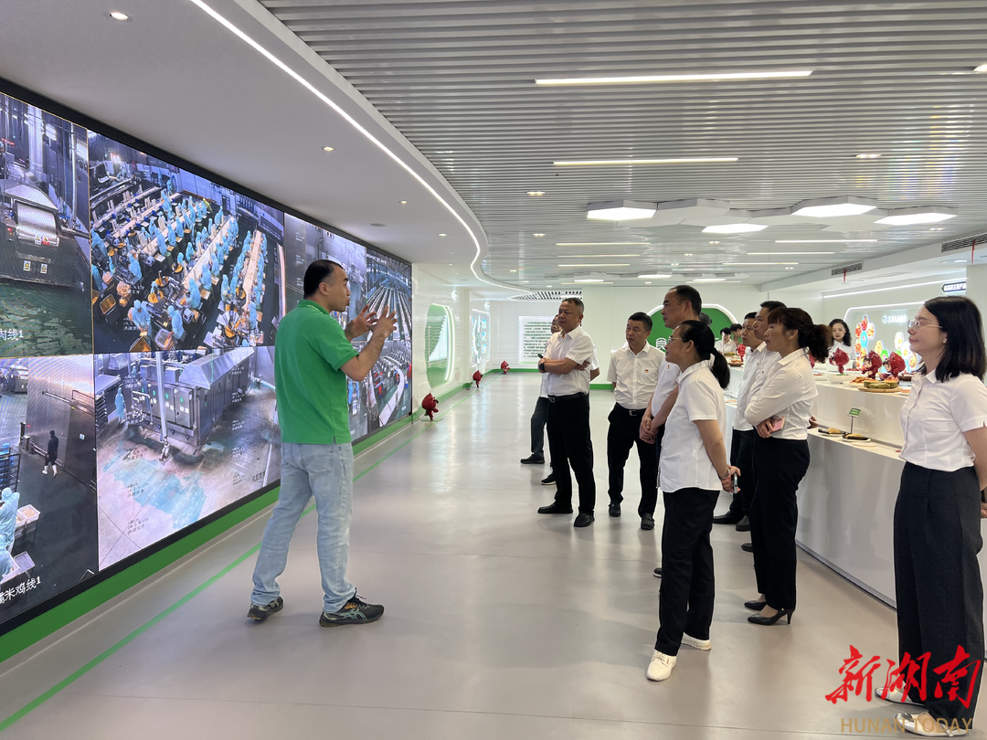 奔红色征程 探统战活力临湘市统战系统机关支部开展党建活动