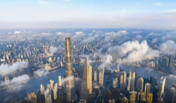 金色相框丨习近平上海之行