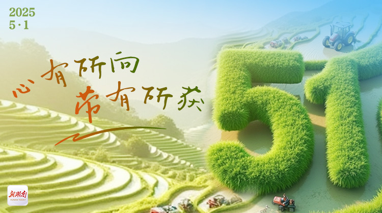 海报丨心有所向 劳有所获，祝你五一劳动节快乐！