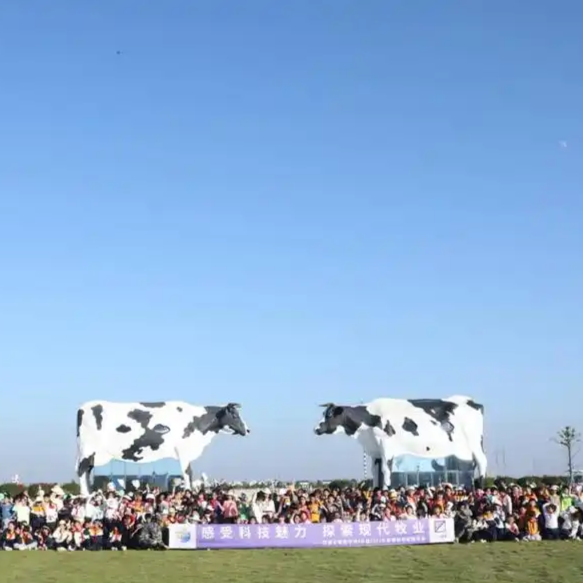 “五一”好“德味”③丨去西湖牧业景区，探索春日牧场