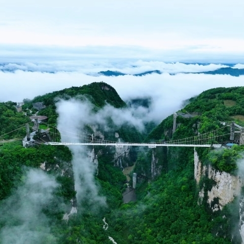 五一“趣”湖南⑯丨张家界大峡谷景区“AI峡客吟” 游客赛诗山水间