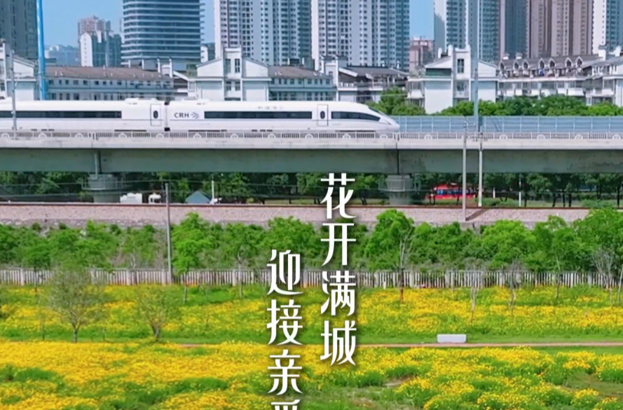 “五一”好“德味”⑫ | 花开满城 只为迎接亲爱的旅人！#“五一”总要来一趟常德吧