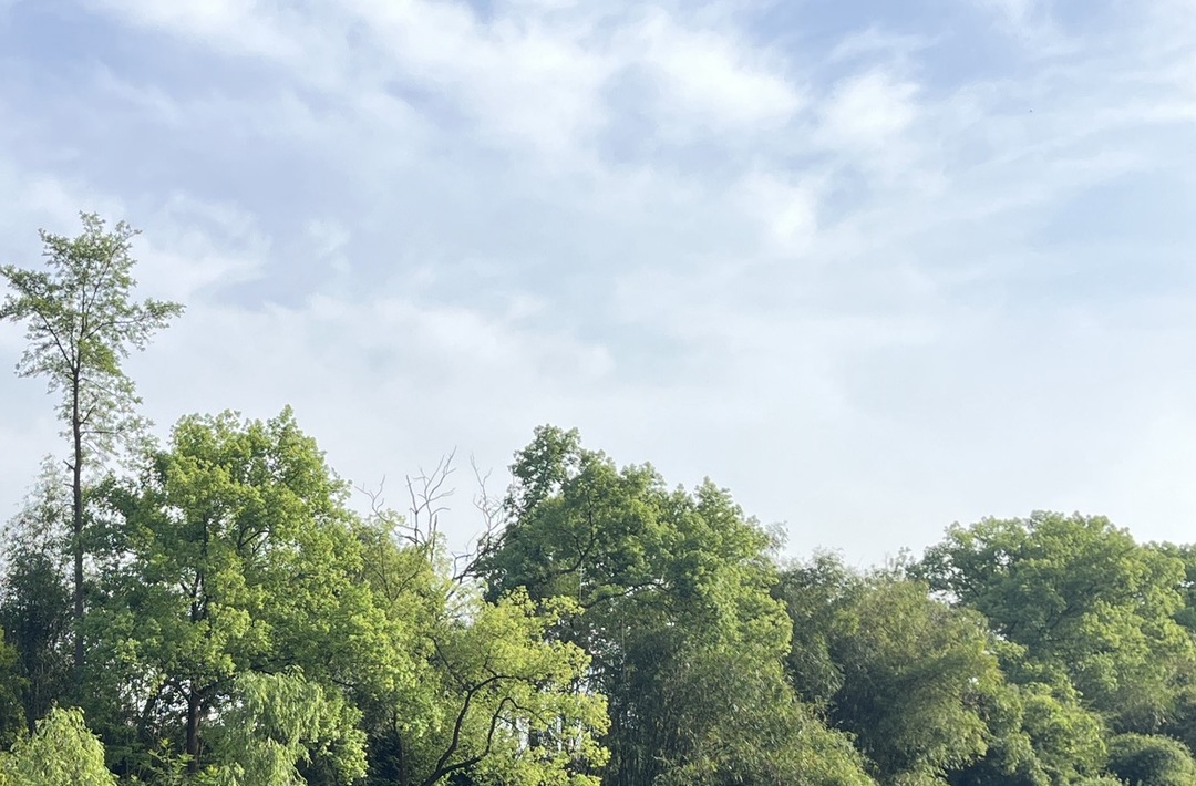 四时之外是春天