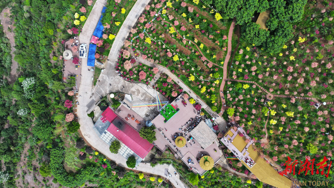 永州問(wèn)“道”·五一文旅特輯丨楓林燃情 弦動(dòng)山鄉(xiāng) 東安吉他音樂(lè)季開(kāi)啟山水交響新篇章 
