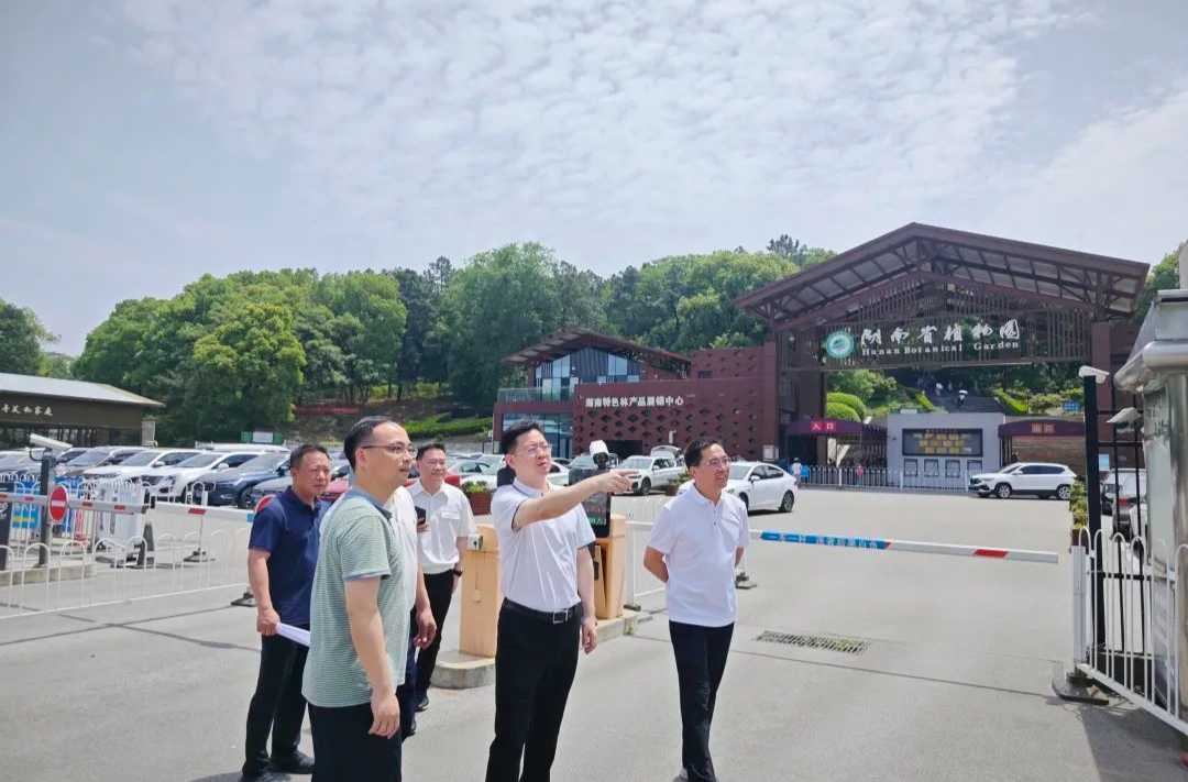 黄军其督导检查省植物园周边环境整治工作并调研节假日文旅活动开展情况