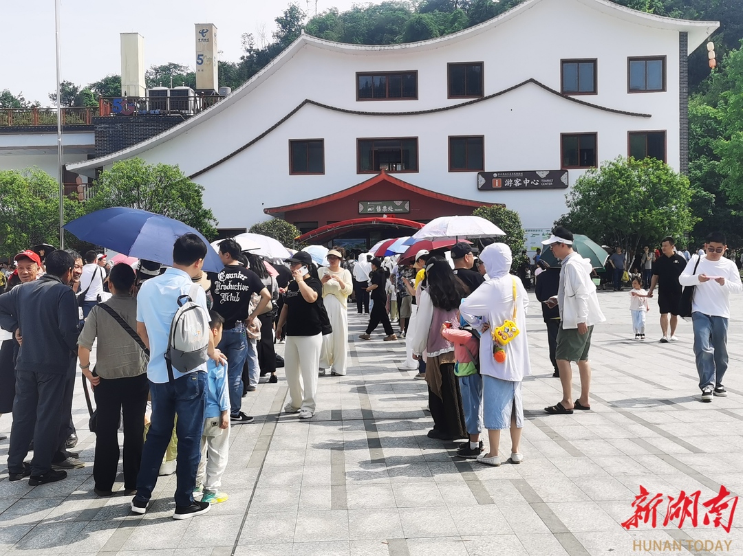 “益”味寻踪⑲|游茶马古道，赏茶乡花海，“五一”假期安化文旅热辣滚烫