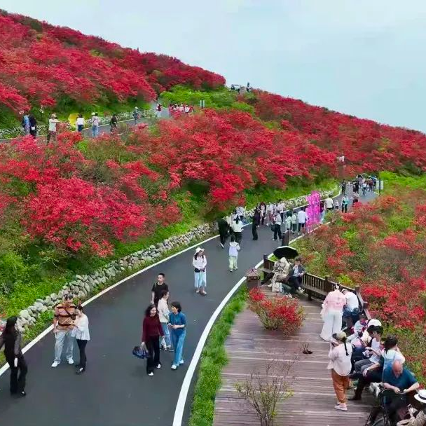 祖国山河大地陆续切换夏天模式 送你专属夏日的小美好🍃