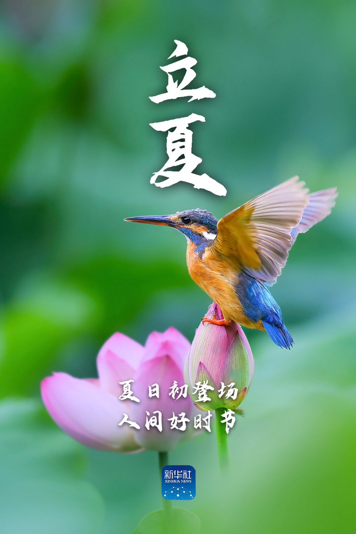 立夏！新的开始，福气满满！