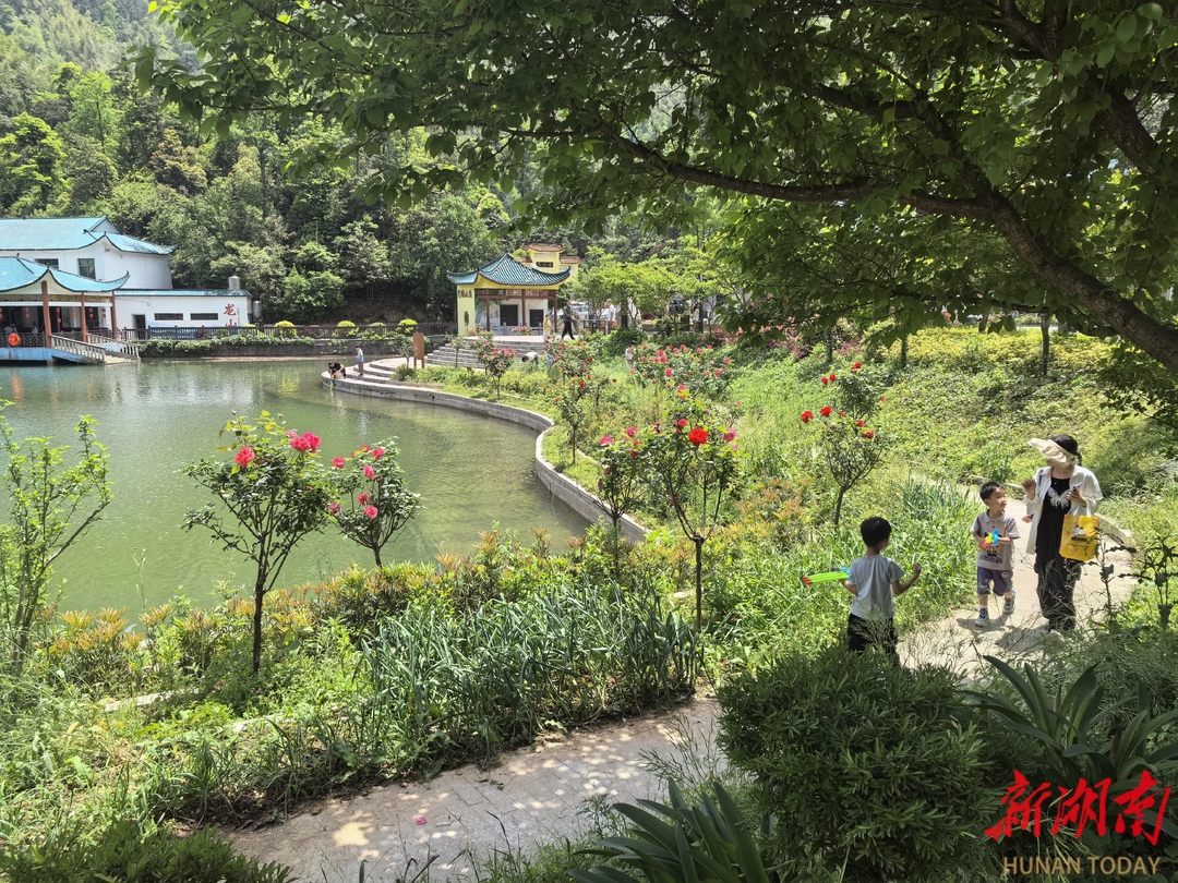 五一“趣”娄底（29）丨涟源龙山国家森林公园迎“五一”旅游热潮