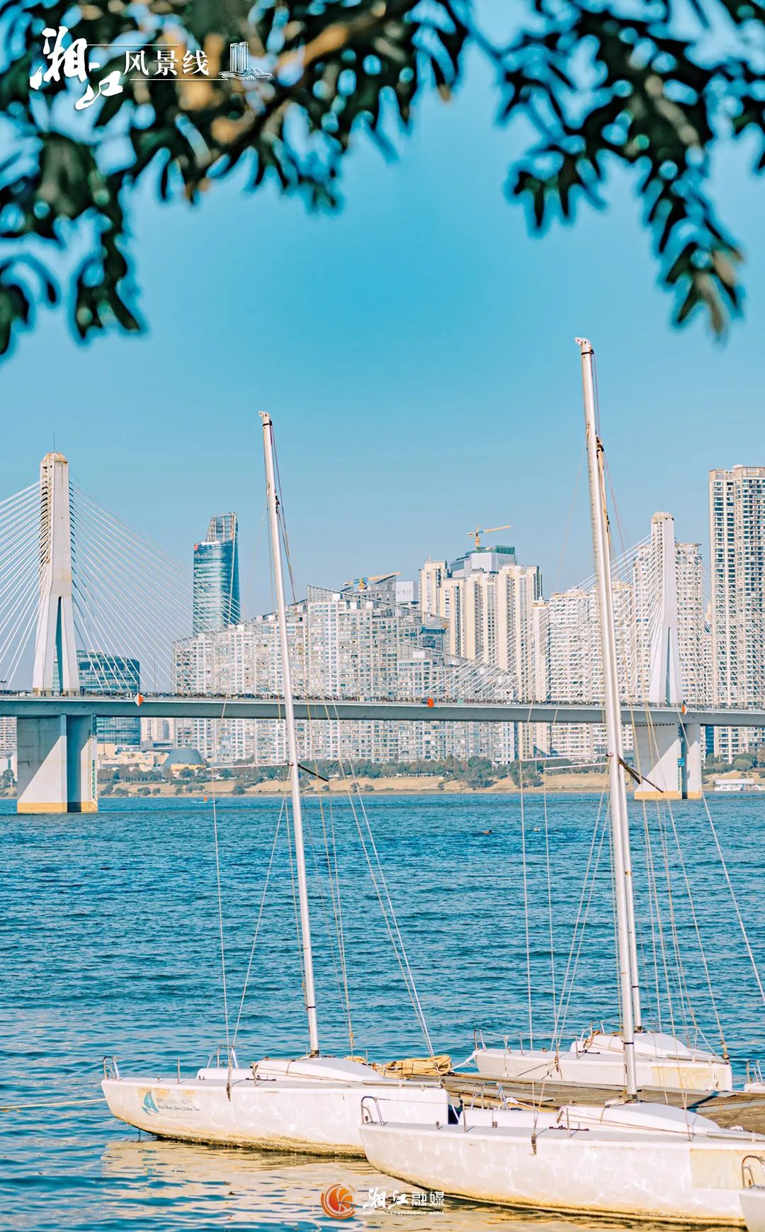 湘视角3.jpg