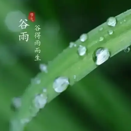 警营春忆