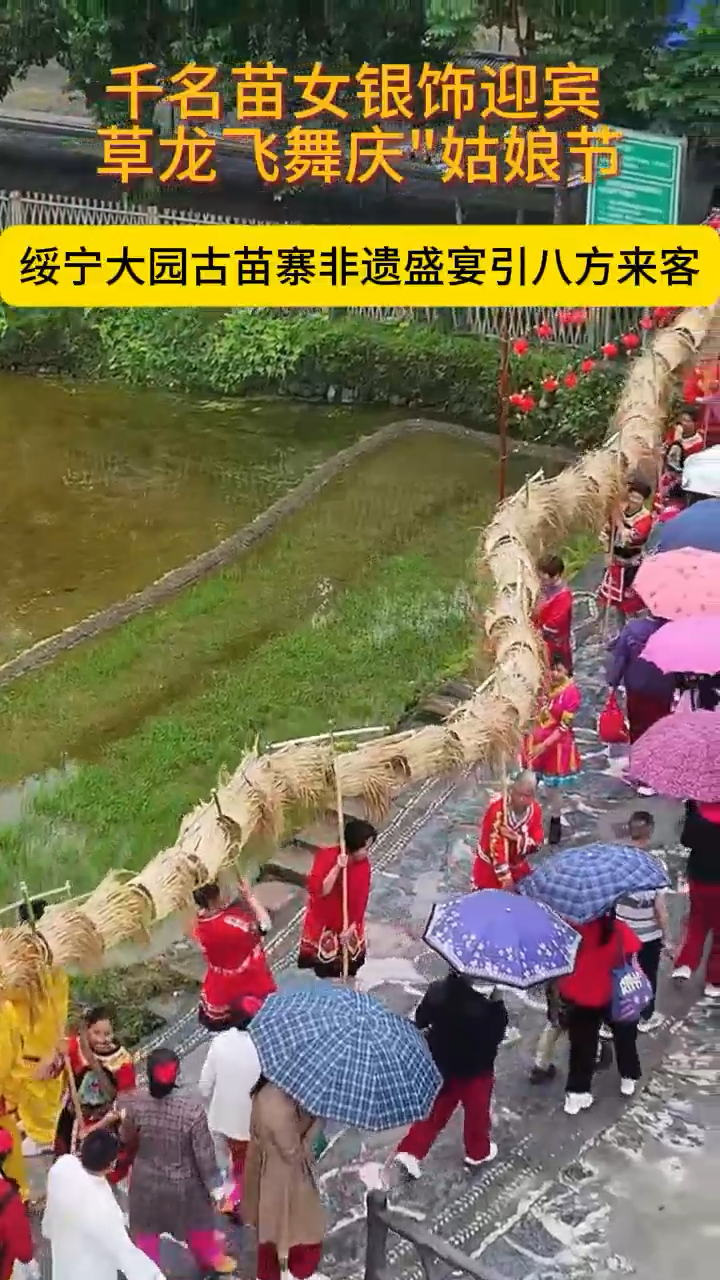 千名苗女银饰迎宾 草龙飞舞庆