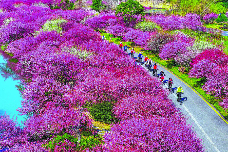 Green tourism is just the ticket