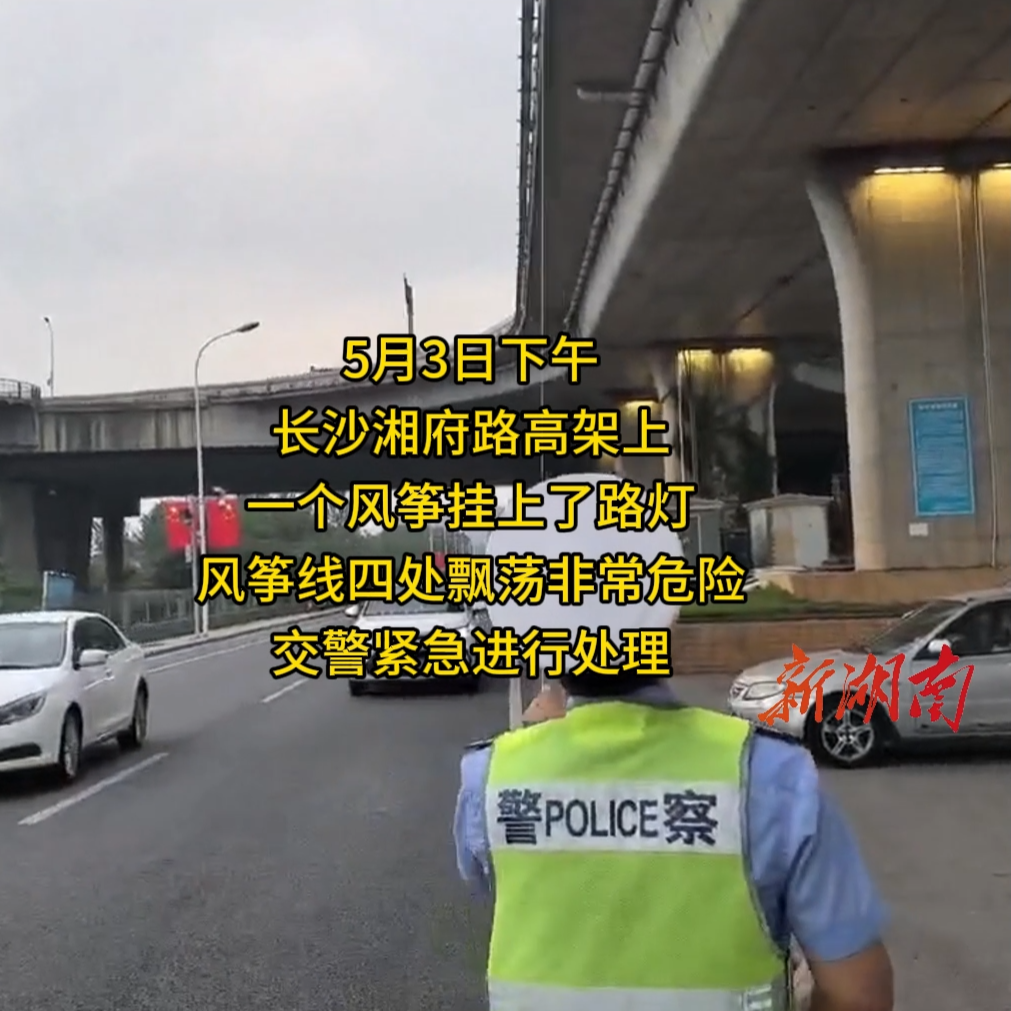 风筝挂在路灯上！交警急得想爬杆