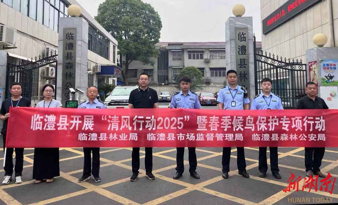 临澧开展“清风行动2025”暨春季候鸟保护专项行动