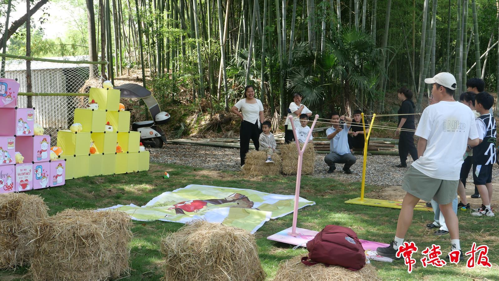 “五一”接待游客4万余人次 港中坪片区农文旅盛宴成休闲游新宠