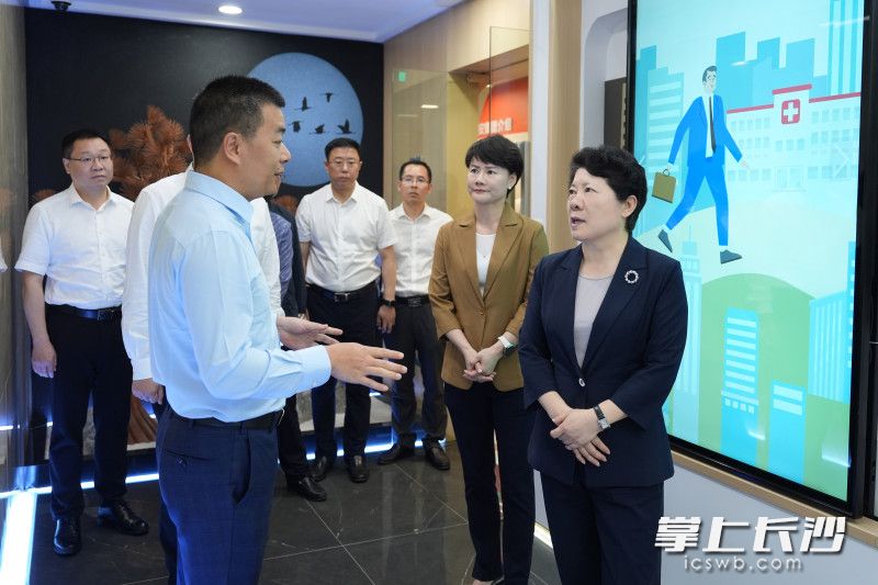 吴桂英调研芙蓉区经济社会发展情况