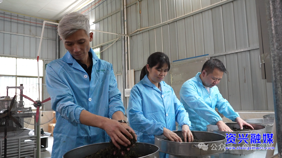 郴州工匠丨胡聂乐：匠心打造制茶路
