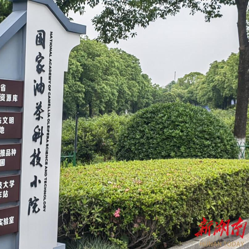 长沙山茶属种质资源库跻身“国家队”@湖南日报