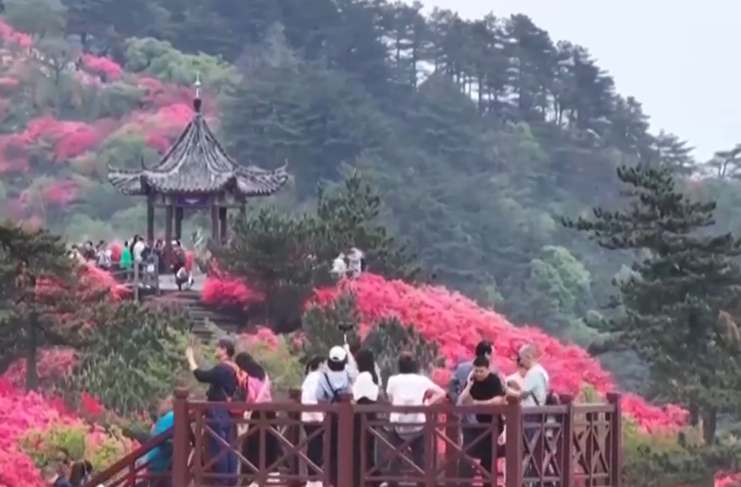 【新思想引领新征程】消费活力持续释放 折射中国经济澎湃动力