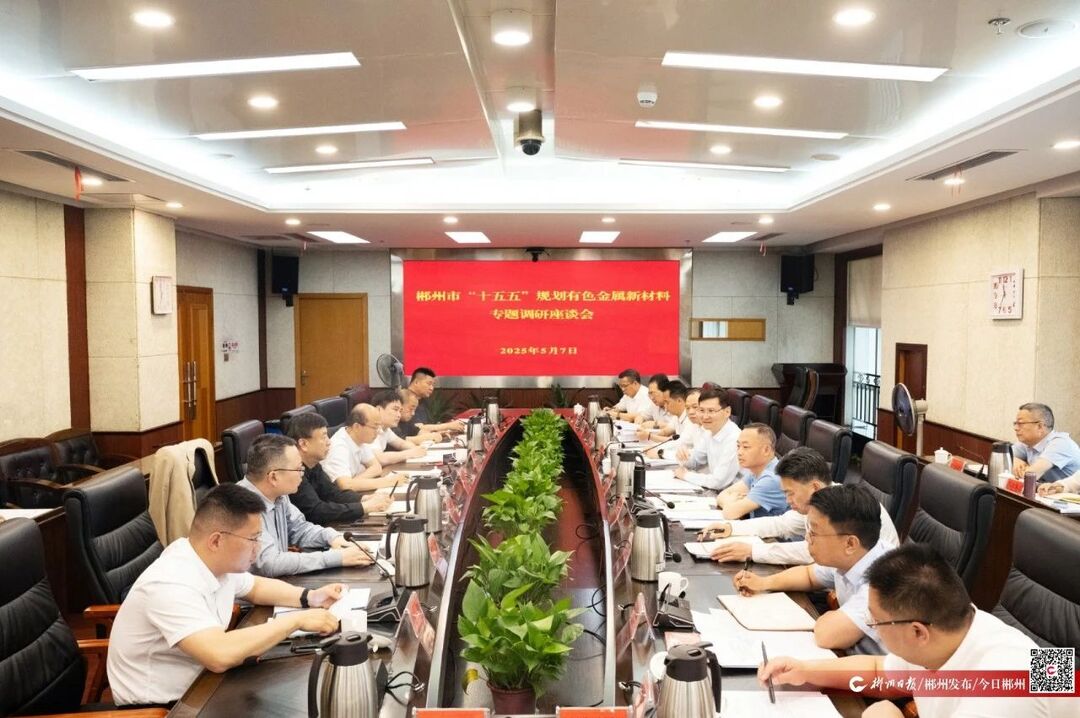 阚保勇主持召开郴州市“十五五”规划有色金属新材料专题调研座谈会 科学谋篇布局   精准持续发力 不断开创有色产业发展新局面