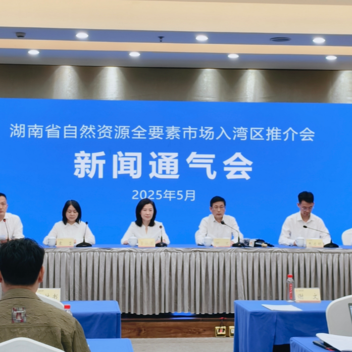 甩出“科技王牌”！湖南自然资源全要素市场平台让大湾区企业热情打call